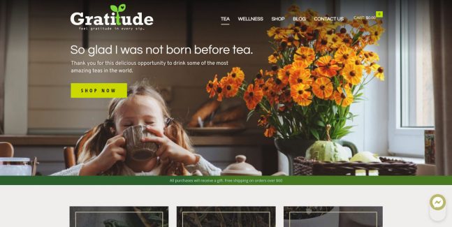 gratittudetea